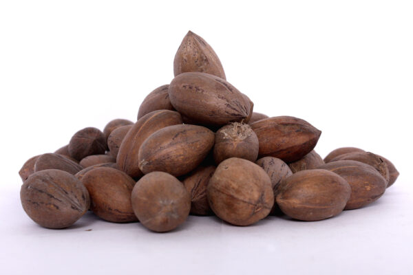 Paper-Shell -Pecans