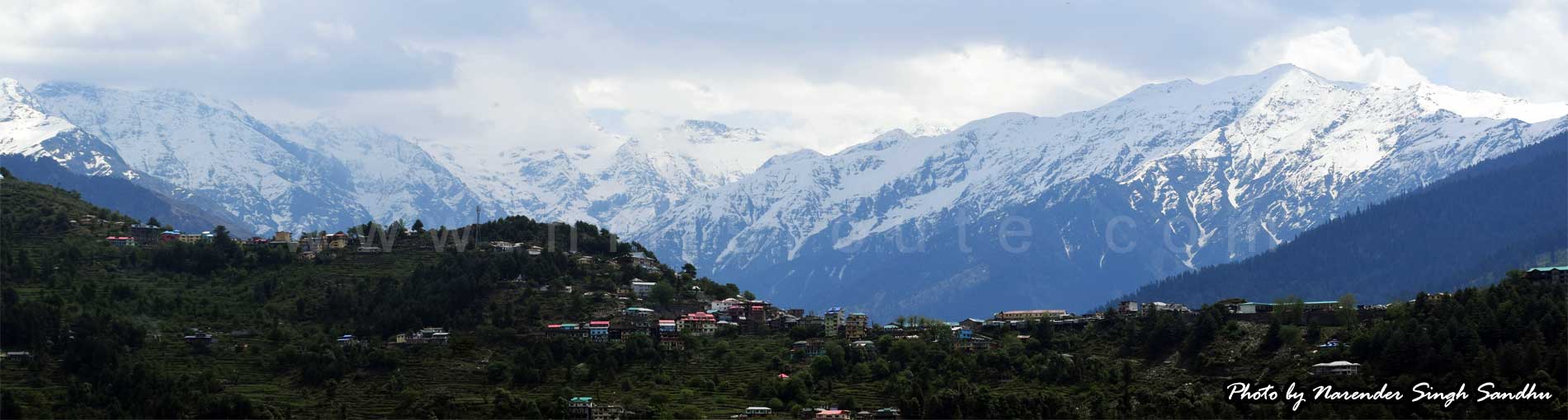 Jhajjakothi village Photo by Narender Singh Sandhu